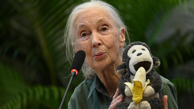 Jane Goodall steht an einem Mikrofon. Sie hält einen Plüsch-Affen in der Hand.