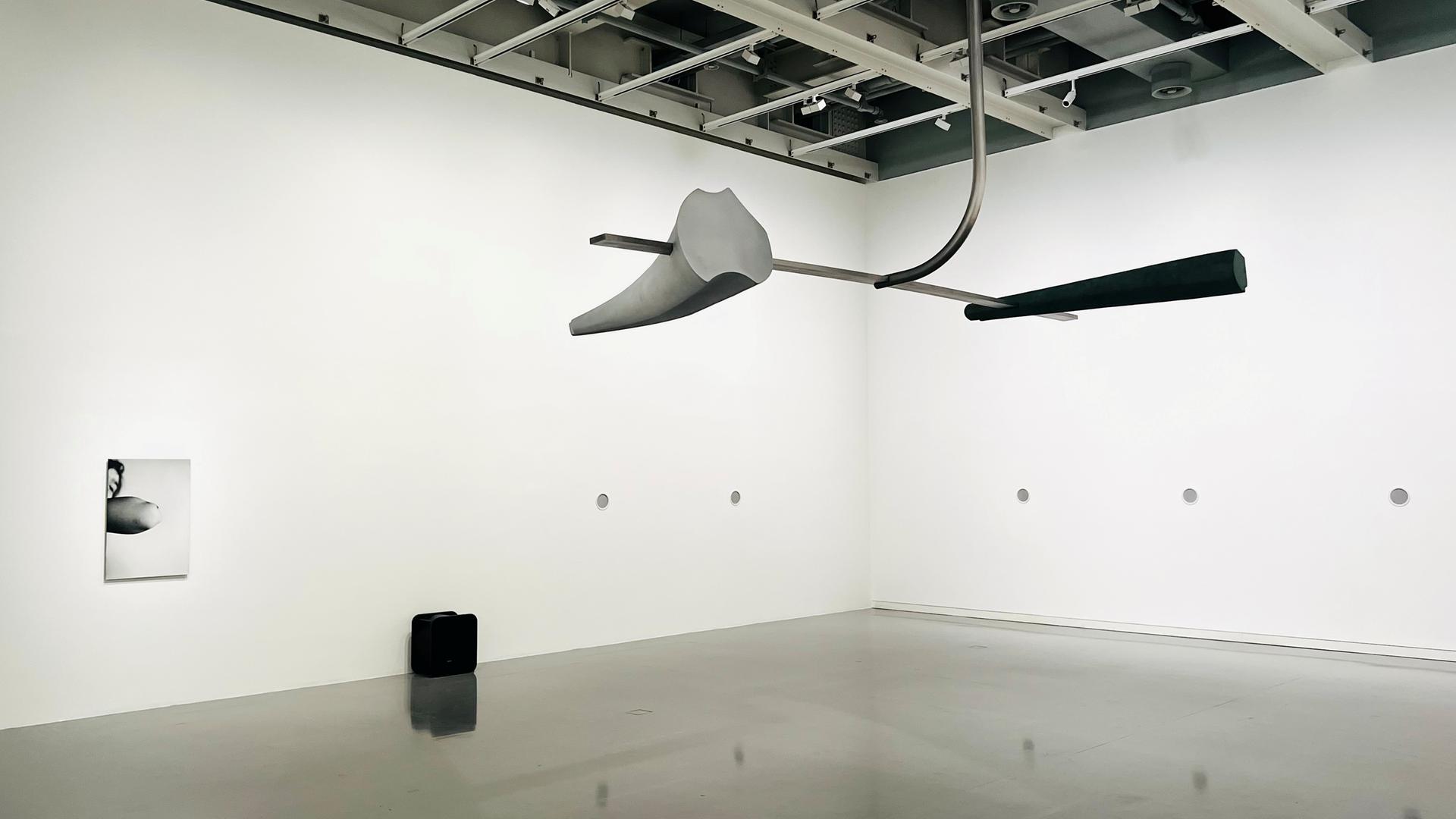 Aufnahme einer Kombination aus einer visuellen Installation samt zugehöriger Soundinstallation in einer Ausstellung.