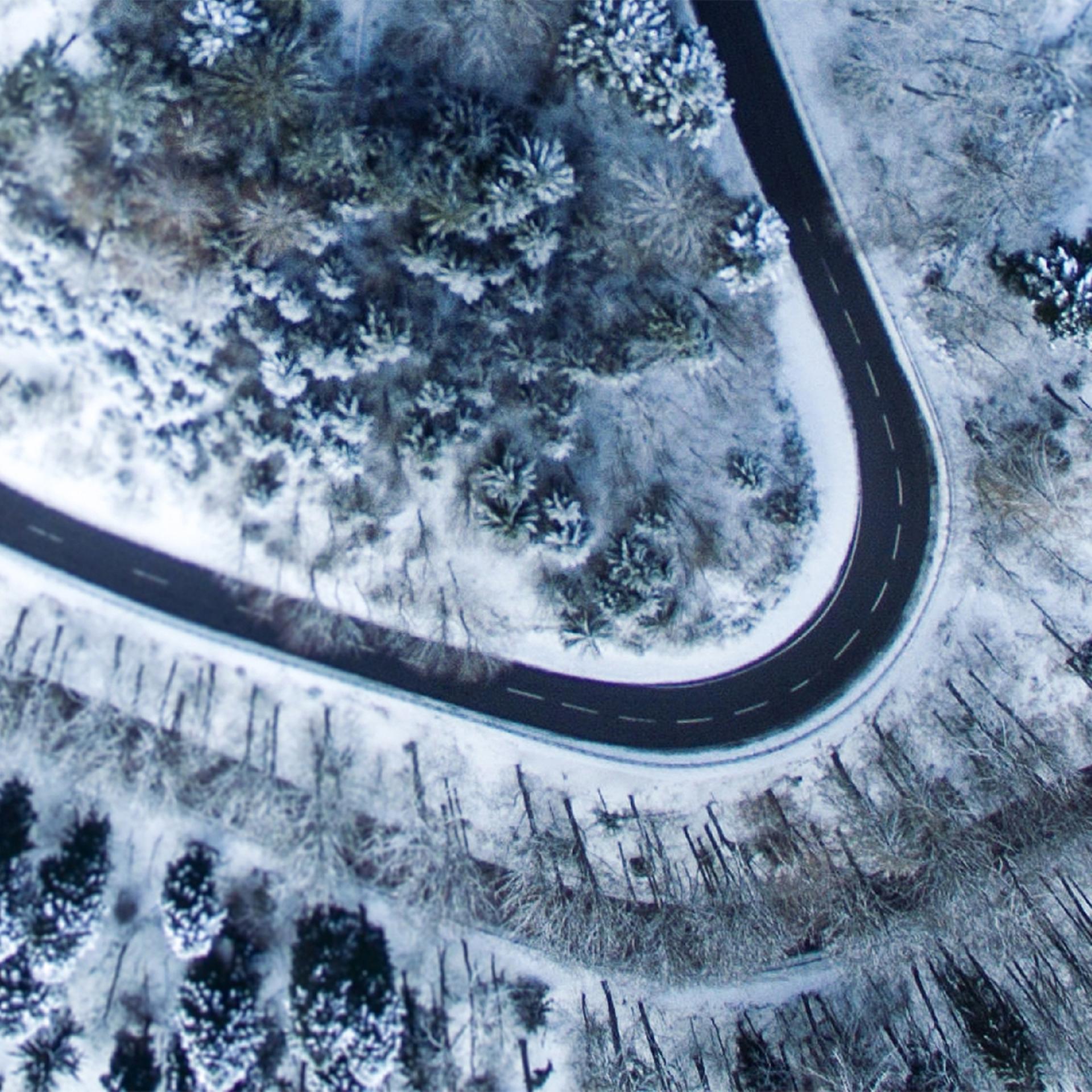 Nur die Tiere (2/2) - Krimi-Hörspiel: Rätselhafter Fall im Zentralmassiv