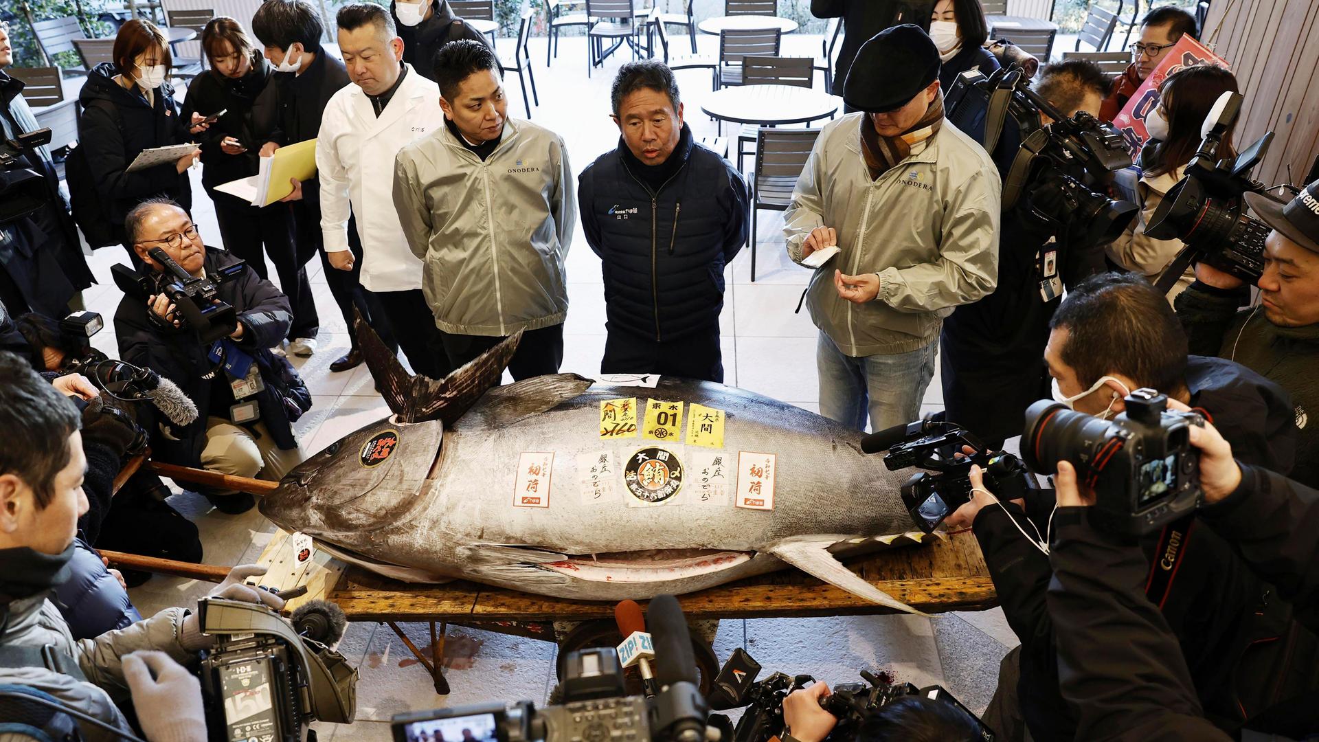 Der Fisch liegt in einem Raum auf einem Tisch. Dahinter und daneben mehrere Personen; davor viele Fotografen. 