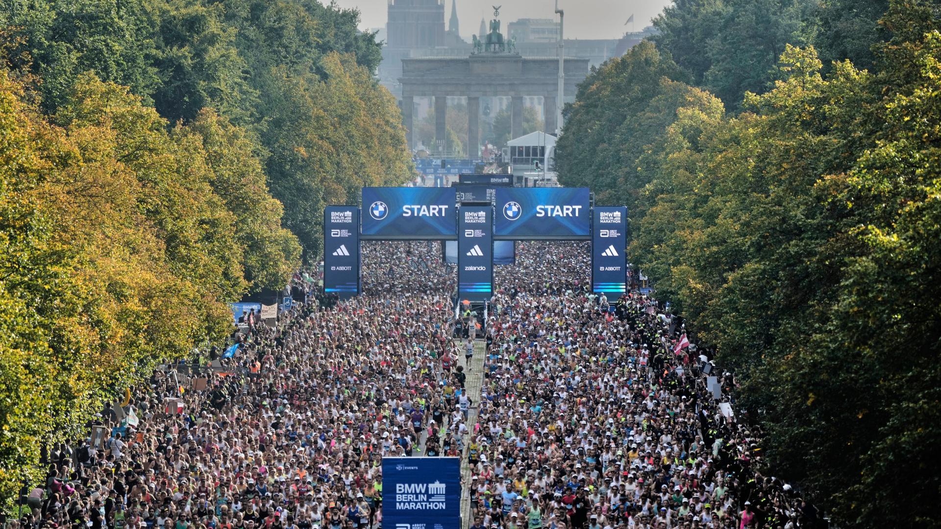 Tausende Läufer sind beim Berlin-Marathon am Start. Im Hintergrund ist das Brandenburger Tor zu sehen.