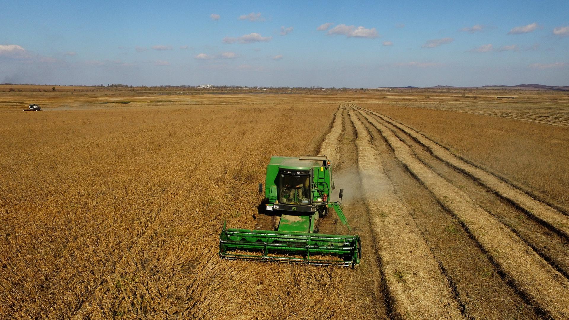 Soja-Anbau in der Landwirtschaft (Symbolbild)