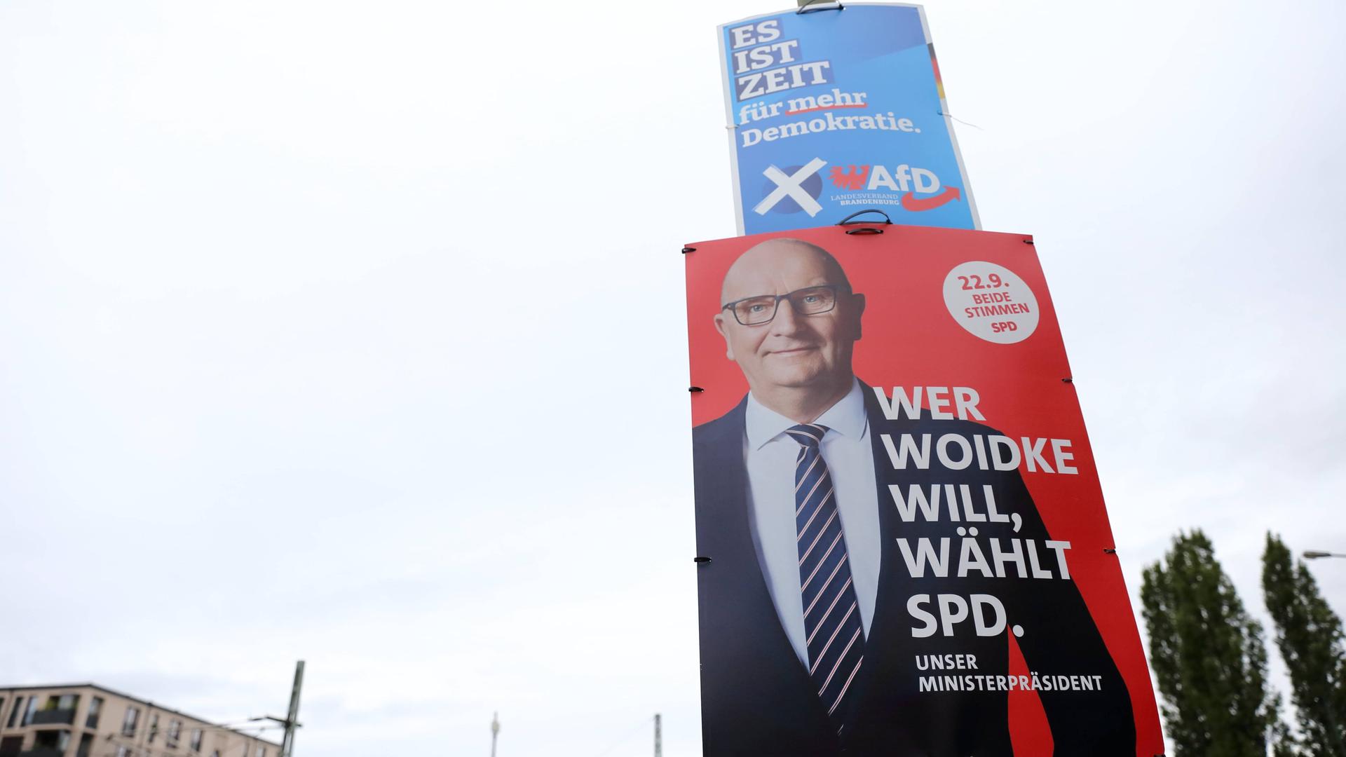 Ein Wahlplakat der AfD hängt über einem Wahlplakat der SPD in Brandenburg. Die Aufschrift des AfD-Plakats: „Es ist Zeit für mehr Demokratie“. Das SPD-Plakat zeigt Dietmar Woidke mit der Aufschrift: „Wer Woidke will, wählt SPD“.