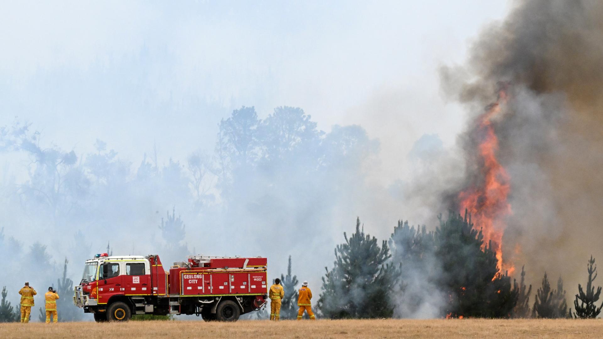 Feuerwehrleute in Raglan, im australischen Bezirk Victoria versuchen, einen Buschbrand zu löschen. Die Luft ist stark verqualmt. Feuerwehrleute in Raglan, im australischen Bezirk Victoria versuchen, einen Buschbrand zu löschen. Die Luft ist stark verqualmt.