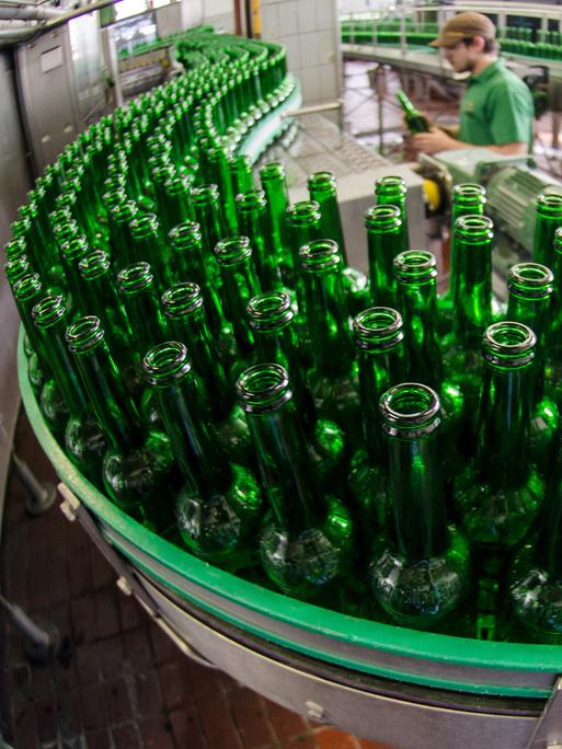 Grüne Flaschen mit Bio-Bier werden in der Abfüllanlage der Neumarkter Bio-Brauerei Lammsbräu auf einem Förderband transportiert.