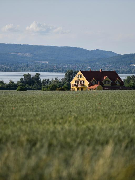 Blick auf ein großes Haus in einem Feld, im Hintergrund ist der Plattensee (Balaton) zu sehen. 