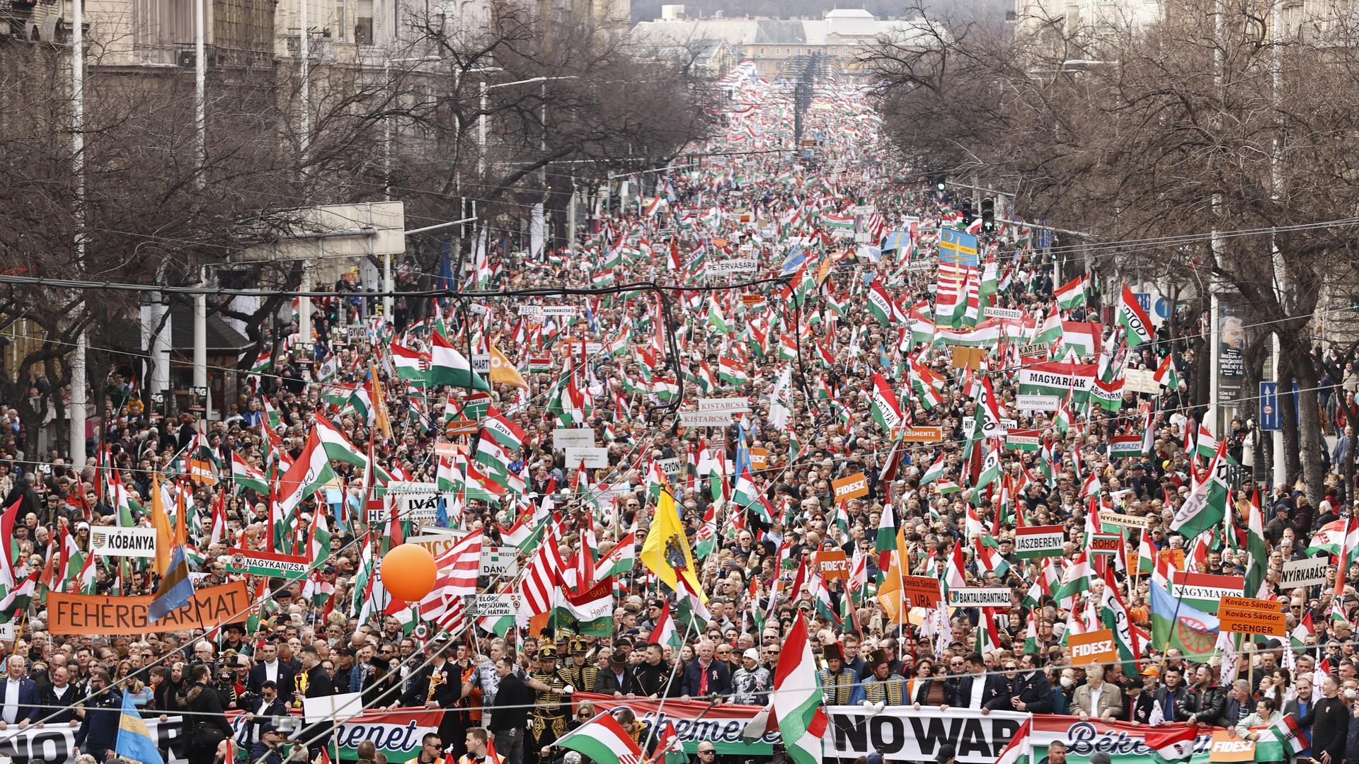 Anhänger des ungarischen Ministerpräsident Viktor Orban bei einer Kundgebung in Budapest