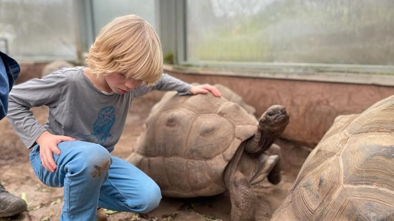 Ein Kind hockt neben einer großen Schildkröte. Eine Hand liegt auf ihrem bräunlichen Panzer.