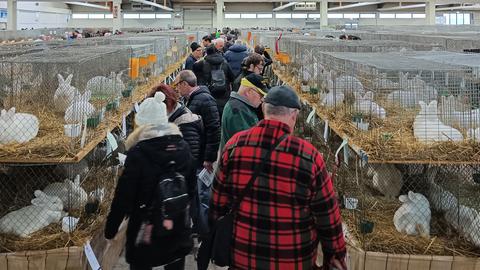 Besucherinnen und Besucher zwängen sich durch einen engen Gang an den Käfigen mit ausgestellten Kaninchen vorbei.