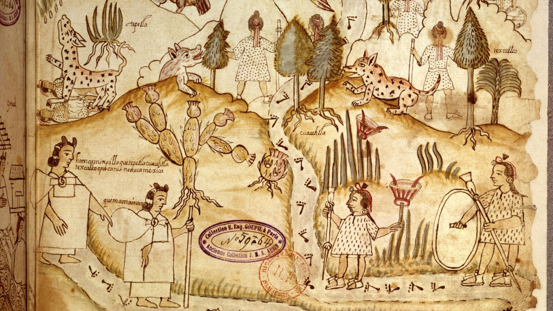 Azcatitlan-Kodex. f° 5: Die Azteken überqueren Berge, die mit einer Vegetation aus Nopals, Agaven, Binsen, Tannen und Palmen bewachsen sind und in denen Tequanimes (wilde Tiere) zu finden sind. Undatiert. Mexiko-Paris, Bibliothèque Nationale Azcatitlan-Kodex. f° 5: Die Azteken überqueren Berge, die mit einer Vegetation aus Nopals, Agaven, Binsen, Tannen und Palmen bewachsen sind und in denen Tequanimes (wilde Tiere) zu finden sind. Undatiert. Mexiko-Paris, Bibliothèque Nationale
