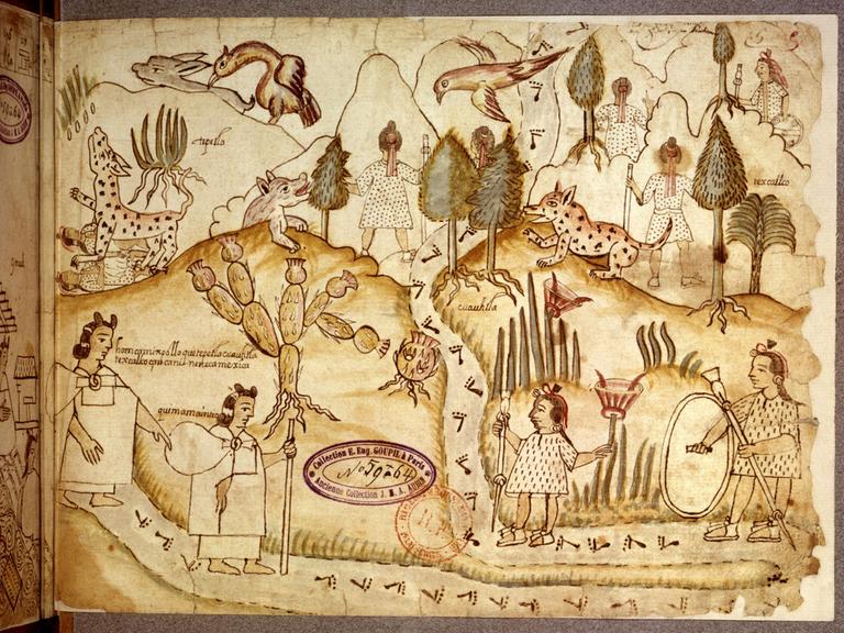 Azcatitlan-Kodex. f° 5: Die Azteken überqueren Berge, die mit einer Vegetation aus Nopals, Agaven, Binsen, Tannen und Palmen bewachsen sind und in denen Tequanimes (wilde Tiere) zu finden sind. Undatiert. Mexiko-Paris, Bibliothèque Nationale Azcatitlan-Kodex. f° 5: Die Azteken überqueren Berge, die mit einer Vegetation aus Nopals, Agaven, Binsen, Tannen und Palmen bewachsen sind und in denen Tequanimes (wilde Tiere) zu finden sind. Undatiert. Mexiko-Paris, Bibliothèque Nationale
