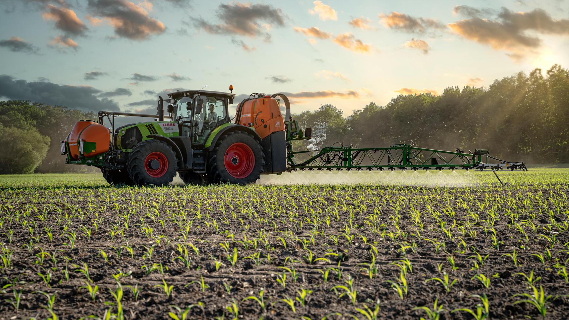 Ein Traktor bringt Pflanzenschutzmittel auf einem Maisfeld aus