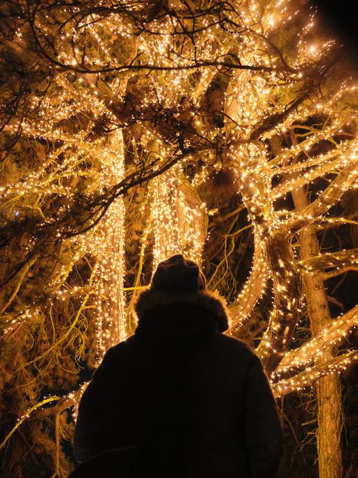 Rückenansicht einer Person, vor leuchtenden, mit Lichteketten behangenen Bäumen.