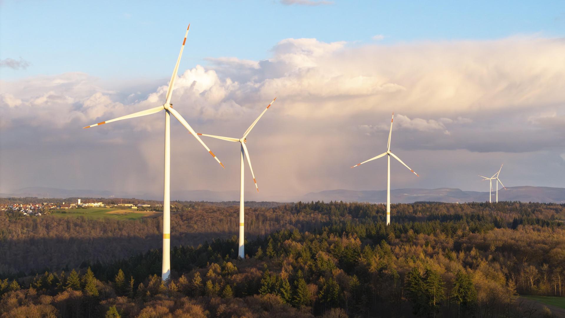 Eine Reihe von Windrädern steht in einem Waldstück.