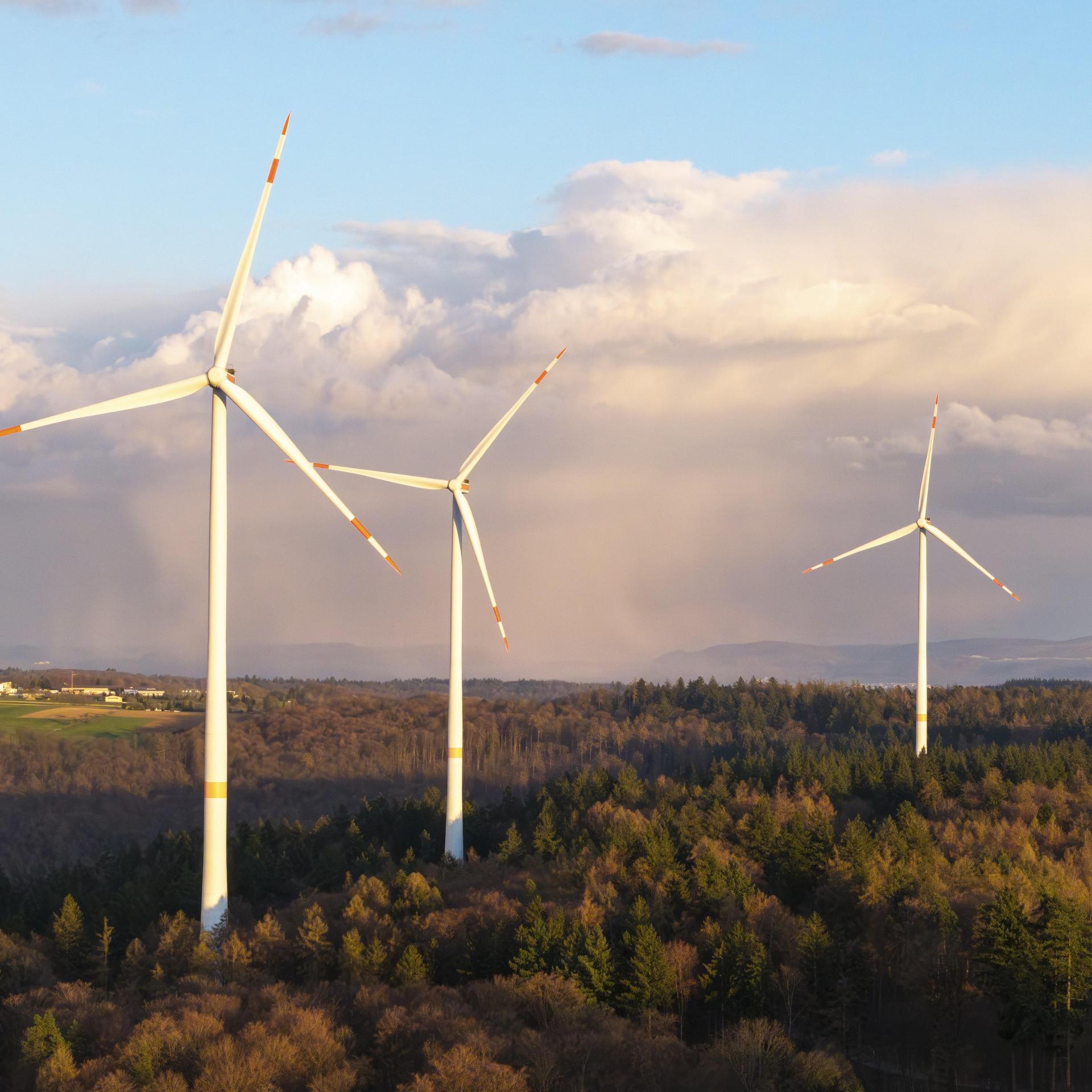 Klimapolitik - Schneider (SPD) widerspricht Kritik von Umweltschützern