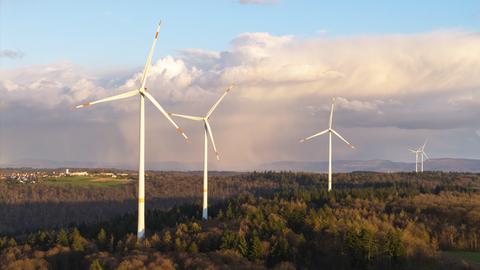 Eine Reihe von Windrädern steht in einem Waldstück.