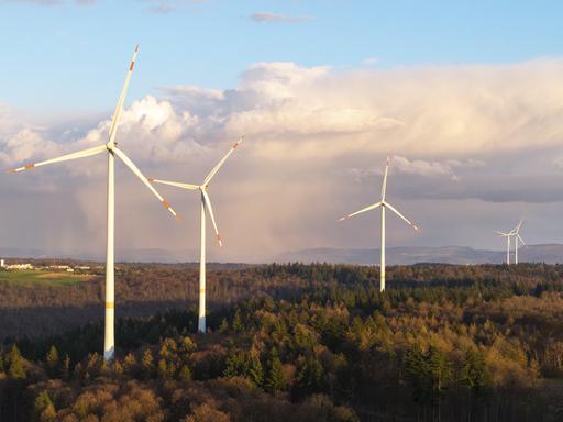 Eine Reihe von Windrädern steht in einem Waldstück.