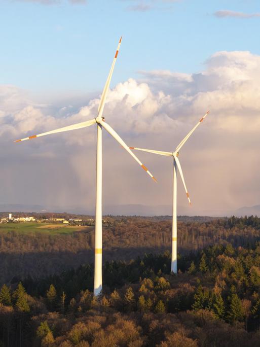 Eine Reihe von Windrädern steht in einem Waldstück.