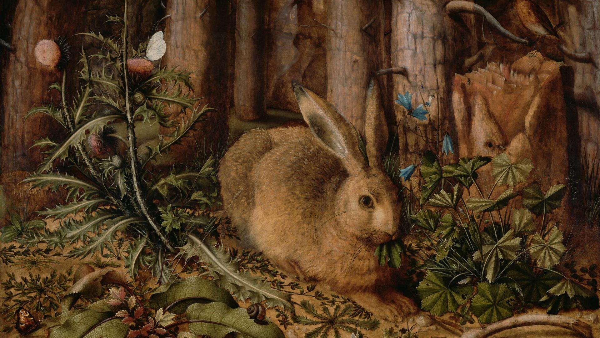 Reproduktion eines Öl-Gemäldes von 1585: Ein Hase im Wald, von Hans Hoffmann, um 1585, deutsches Gemälde, Öl auf Tafel. Minutiöses Gemälde eines Hasen, hockend auf einem Waldboden. Baumstämme und Pflanzen wie Disteln und Blumen sind akribisch wiedergegeben.
