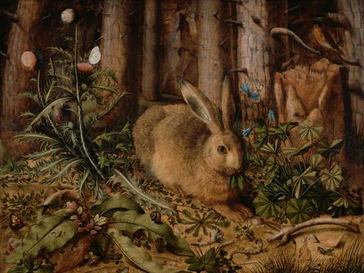 Reproduktion eines Öl-Gemäldes von 1585: Ein Hase im Wald, von Hans Hoffmann, um 1585, deutsches Gemälde, Öl auf Tafel. Minutiöses Gemälde eines Hasen, hockend auf einem Waldboden. Baumstämme und Pflanzen wie Disteln und Blumen sind akribisch wiedergegeben.
