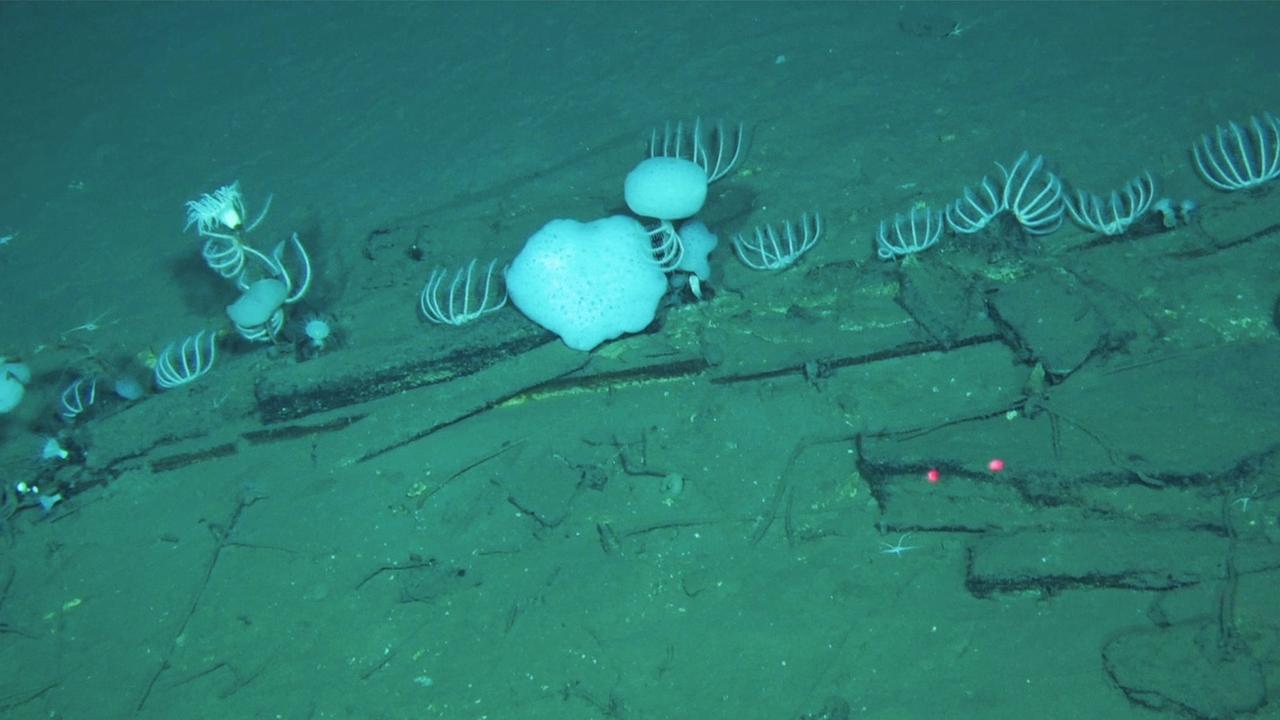 Teile eines Wal-Skeletts liegen am Meeresgrund in der Diamantina-Zone im Indischen Ozean.