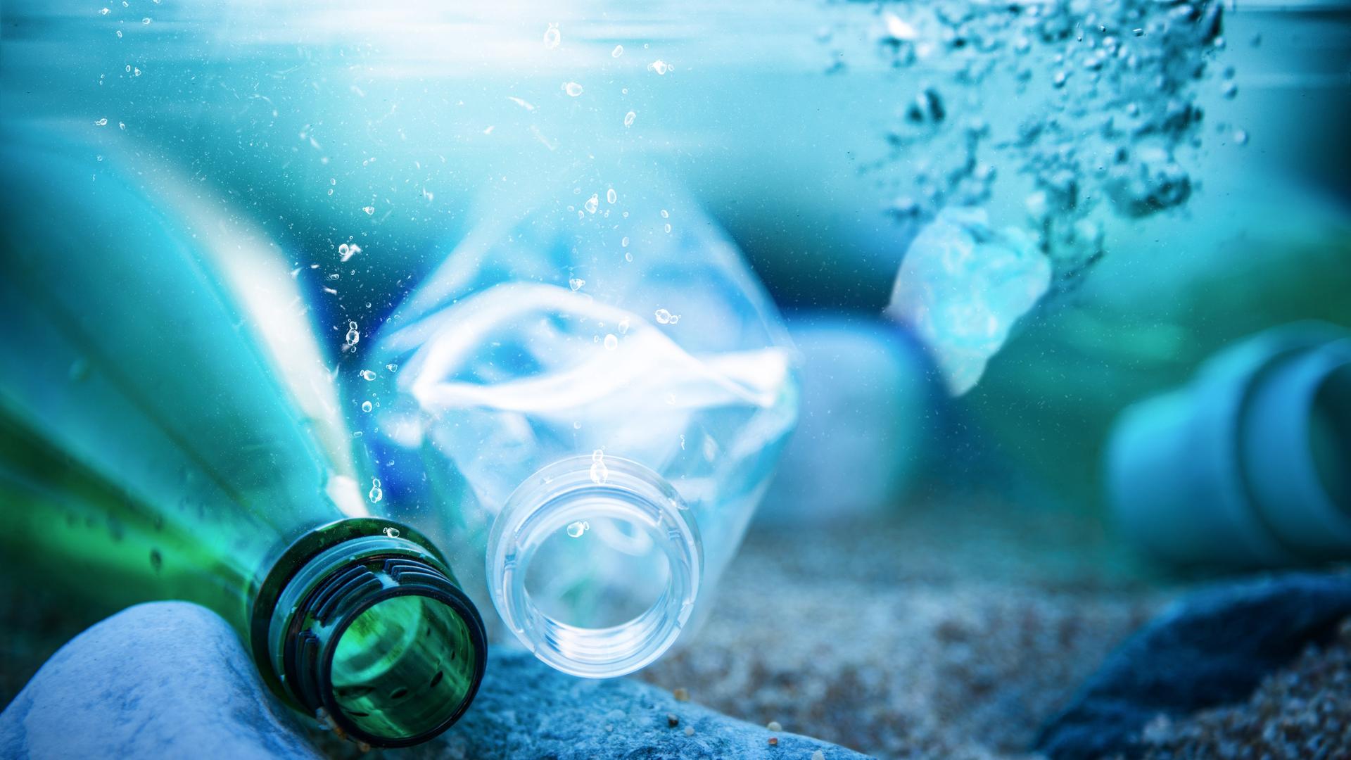 Verschiedene Plastikflaschen treiben im Wasser.