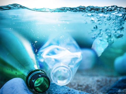 Verschiedene Plastikflaschen treiben im Wasser.