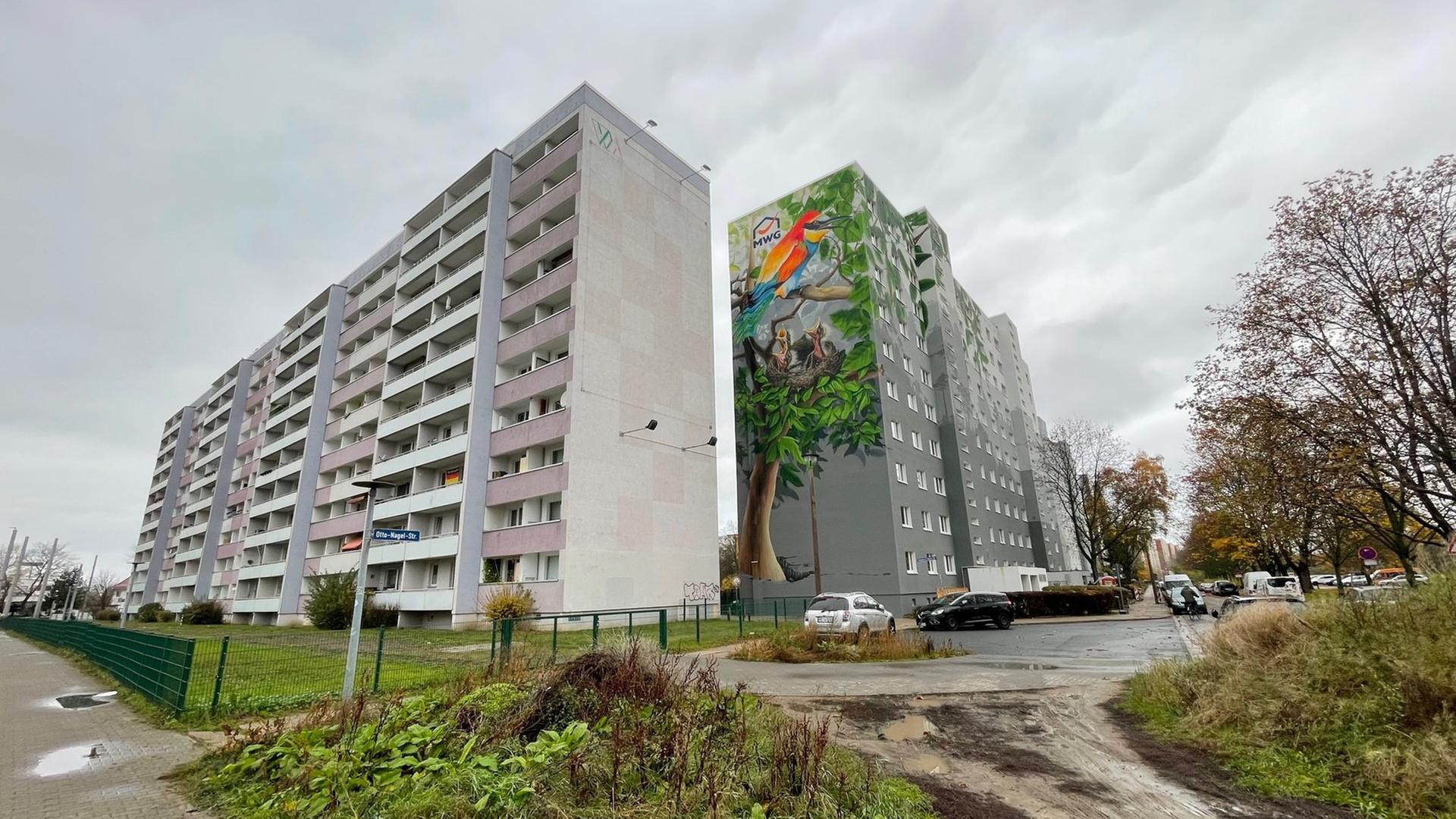 Das Foto zeigt zwei frisch sanierter Zehngeschosser in grau-türkis. An der Frontseite ist ein Graffiti in Form eines Baums, der durch einen Spalt im Beton bis hoch in die zehnte Etage wächst. Hier investiert die MWG, Sachsen-Anhalts größte Wohnungsgenossenschaft in den Umbau eines 45 Jahre alten Plattenbaus. 