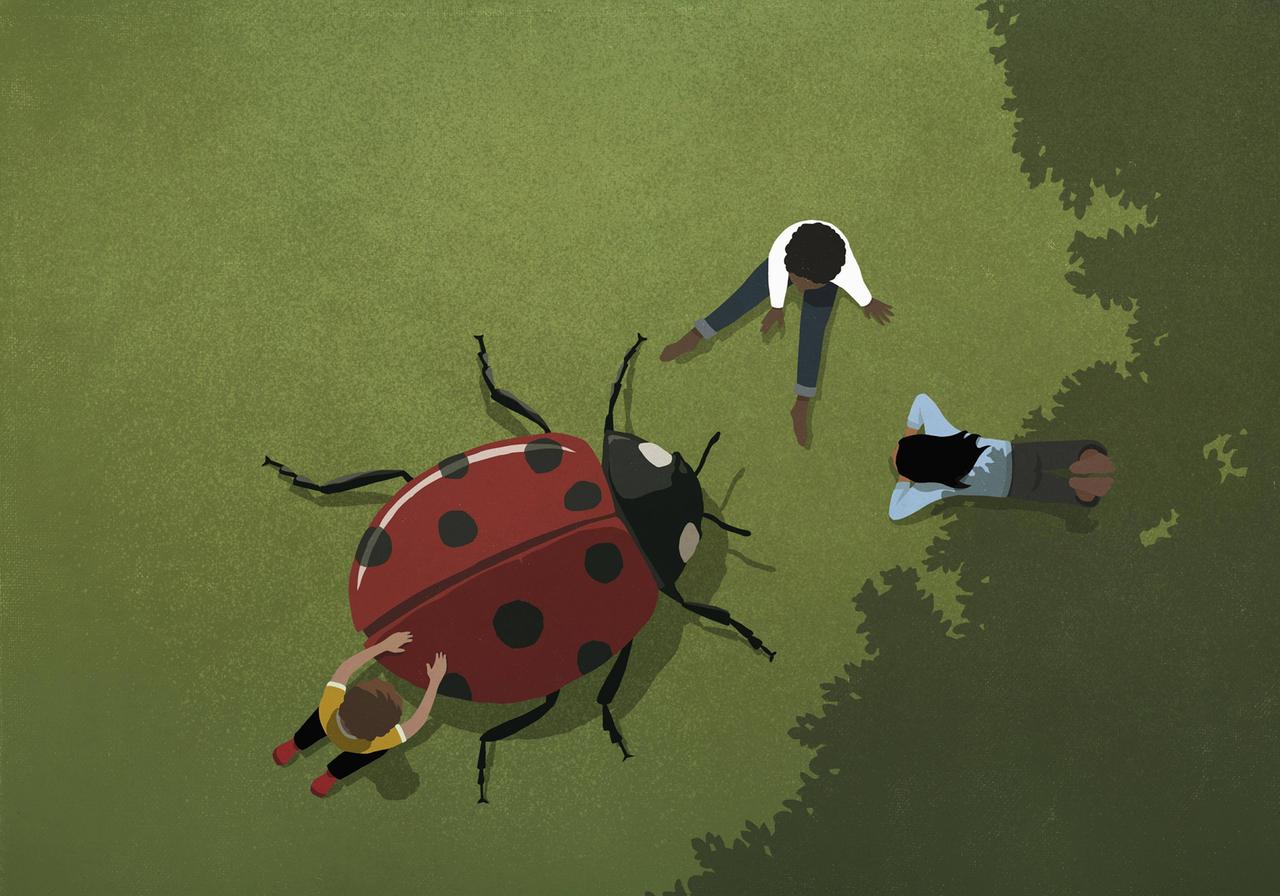 Kinder spielen mit einem Marienkäfer im Gras.