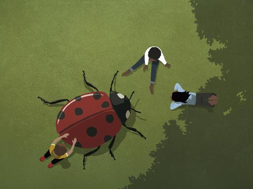 Kinder spielen mit einem Marienkäfer im Gras.
