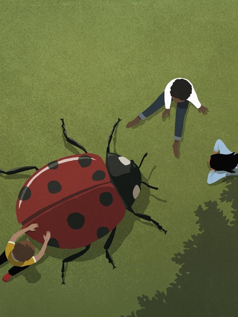 Kinder spielen mit einem Marienkäfer im Gras.