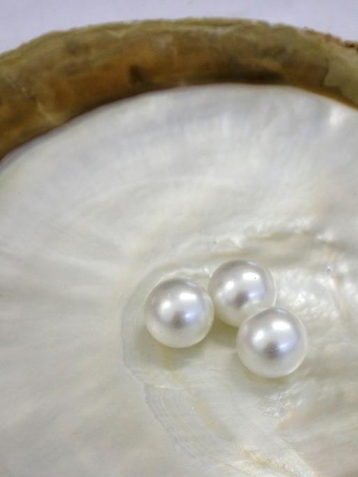 Drei Perlen in einer Muschel