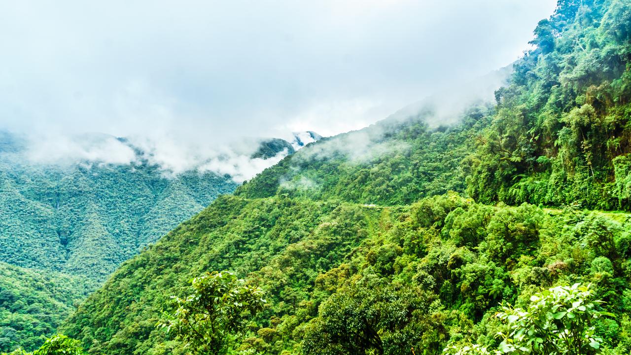 Die grünen Nebelwälder Boliviens mit einer Passstraße. Wolken hängen zwischen den Bergen. 