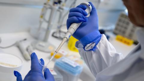 Ein Mitarbeiter pipettiert in einem Labor der Mikrobiologie der Tierärztlichen Fakultät der Ludwig-Maximilians-Universität München (LMU) bei einem Presserundgang zur Demonstration eine Flüssigkeit