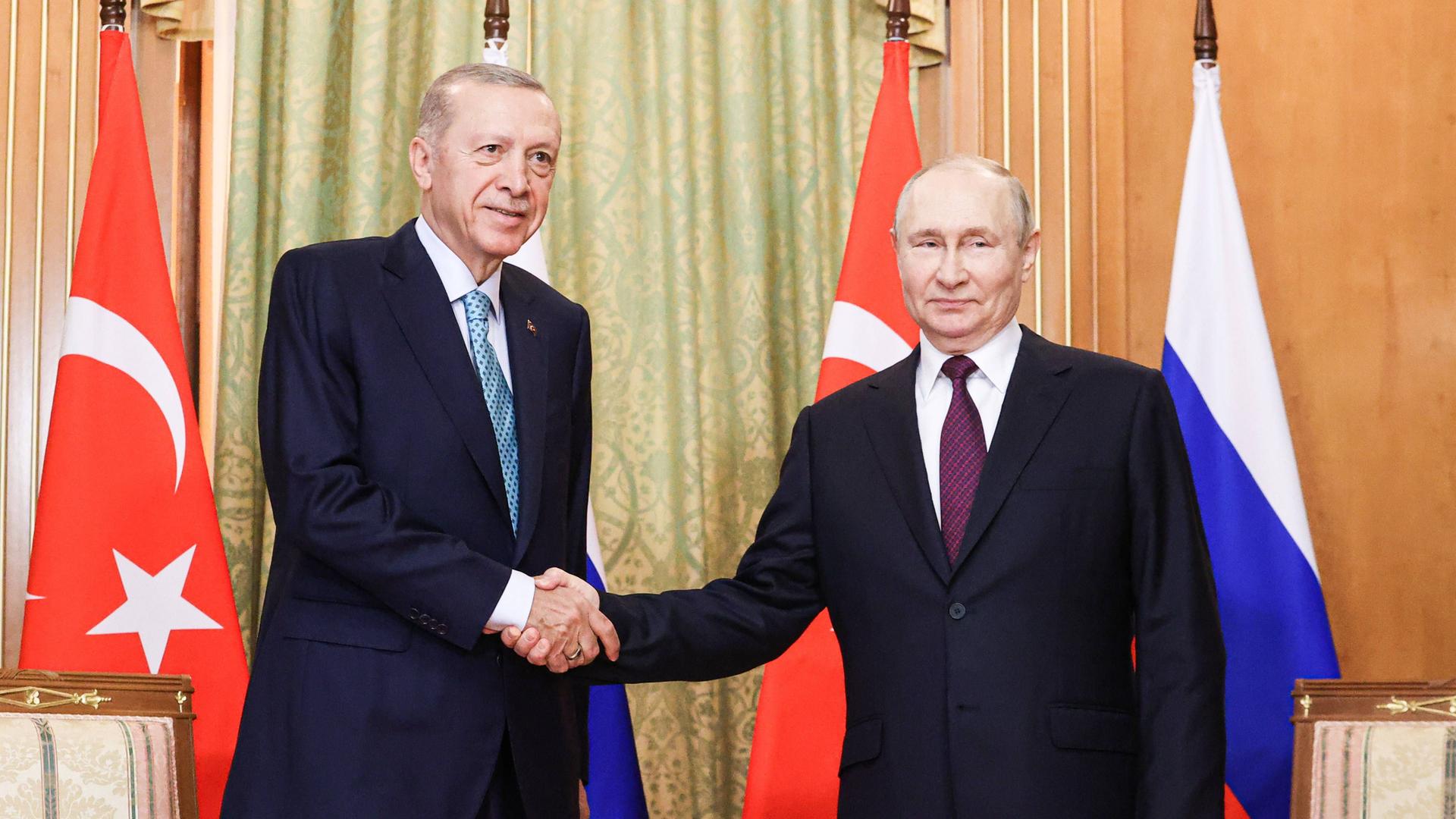 Der türkische Präsident Erdogan und Russlands Staatschef Putin geben sich die Hand und schauen in die Kamera.