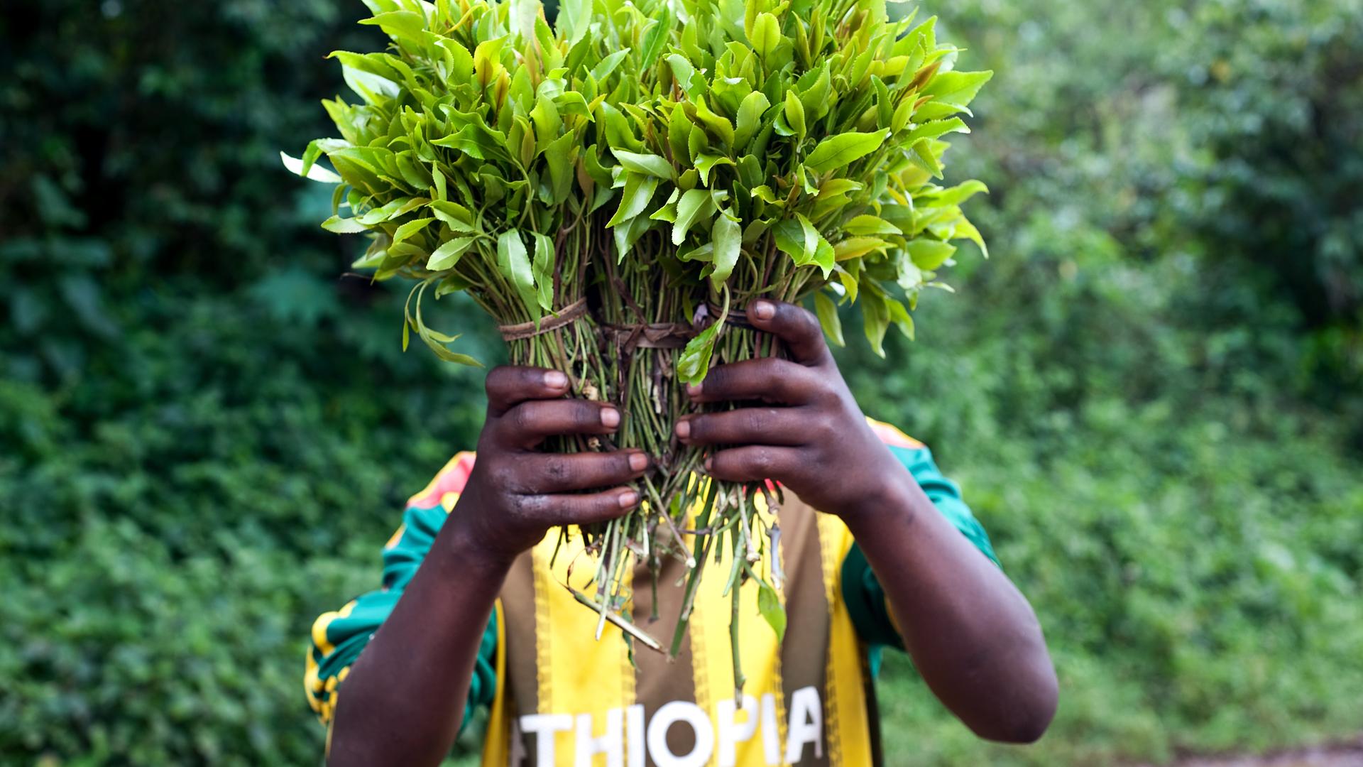 Ein Mensch mit einem T-Shirt, auf dem "Äthiopien" steht, hält ein paar geschnürte Büschel voller Blätter vors Gesicht.