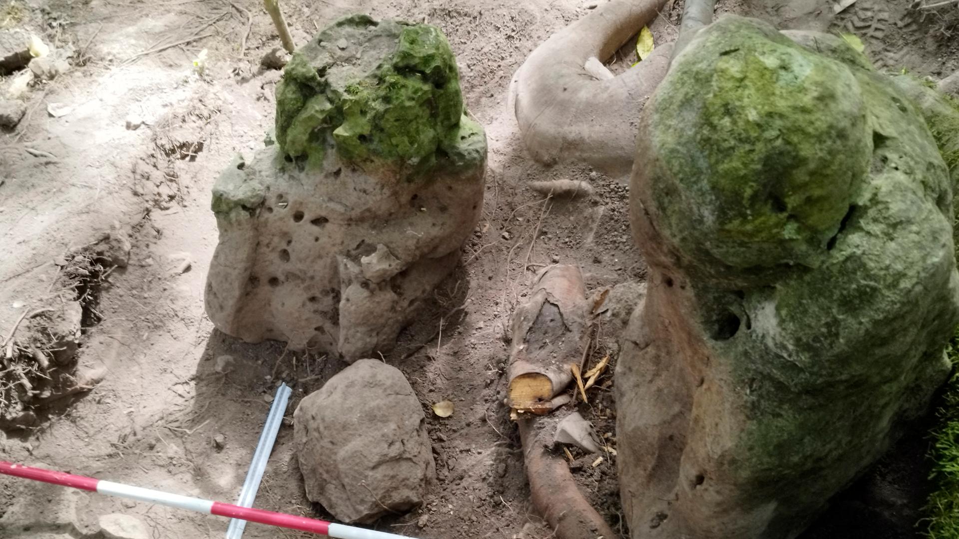 Blick auf die entdeckten Steinskulpturen, die an Großeletern erinnern. Blick auf die entdeckten Steinskulpturen, die an Großeletern erinnern.