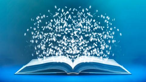 3D-Grafik eines aufgeschlagenen Buches, über dessen Seiten Buchstaben schweben. 3D-Grafik eines aufgeschlagenen Buches, über dessen Seiten Buchstaben schweben.