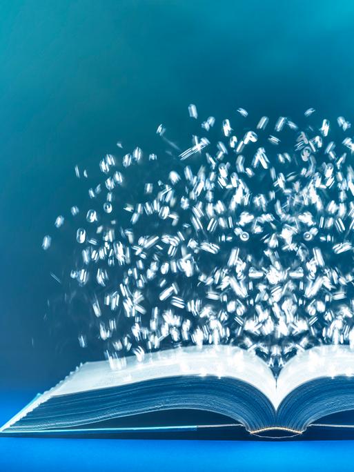 3D-Grafik eines aufgeschlagenen Buches, über dessen Seiten Buchstaben schweben.