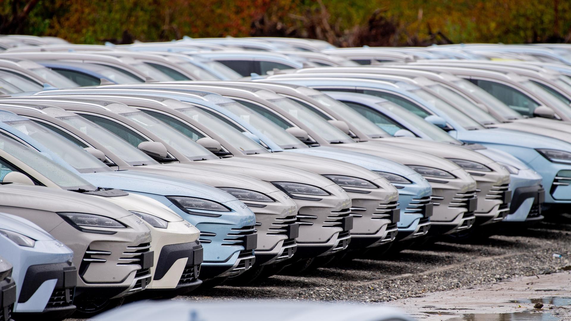 Zahlreiche neue Elektrofahrzeuge von Byd stehen auf einem Parkplatz im Hafengebiet.
