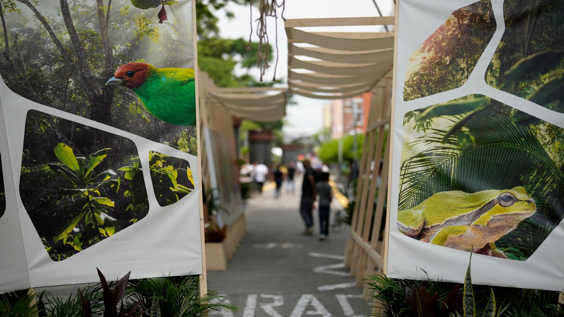 Die Grüne Zone bei der Weltnaturkonferenz in Cali