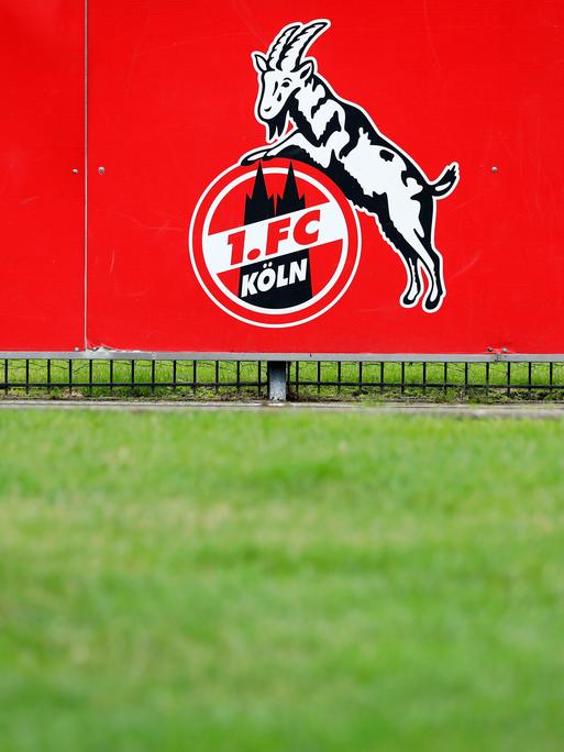 Logo des 1. FC Köln auf einem Trainingsplatz.
