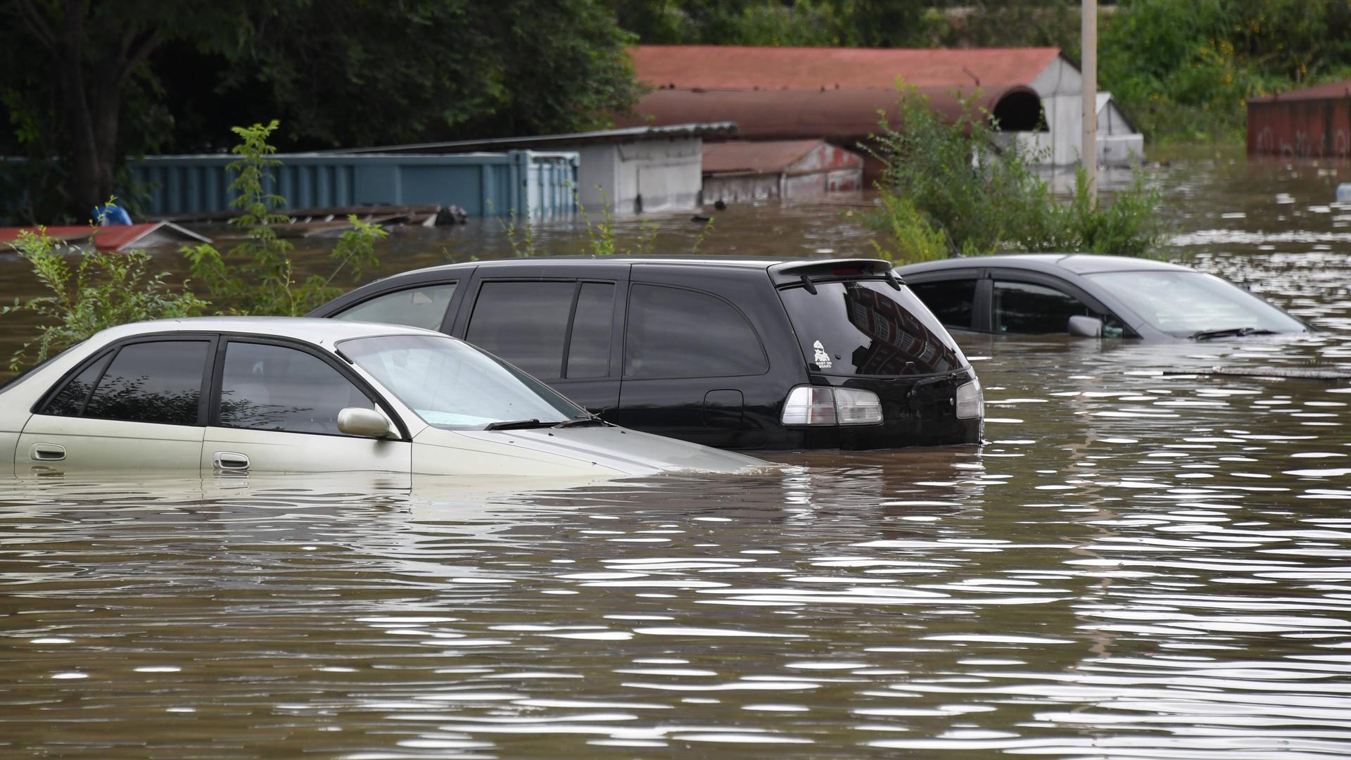 Das Foto zeigt Autos, die im Wasser schwimmen.