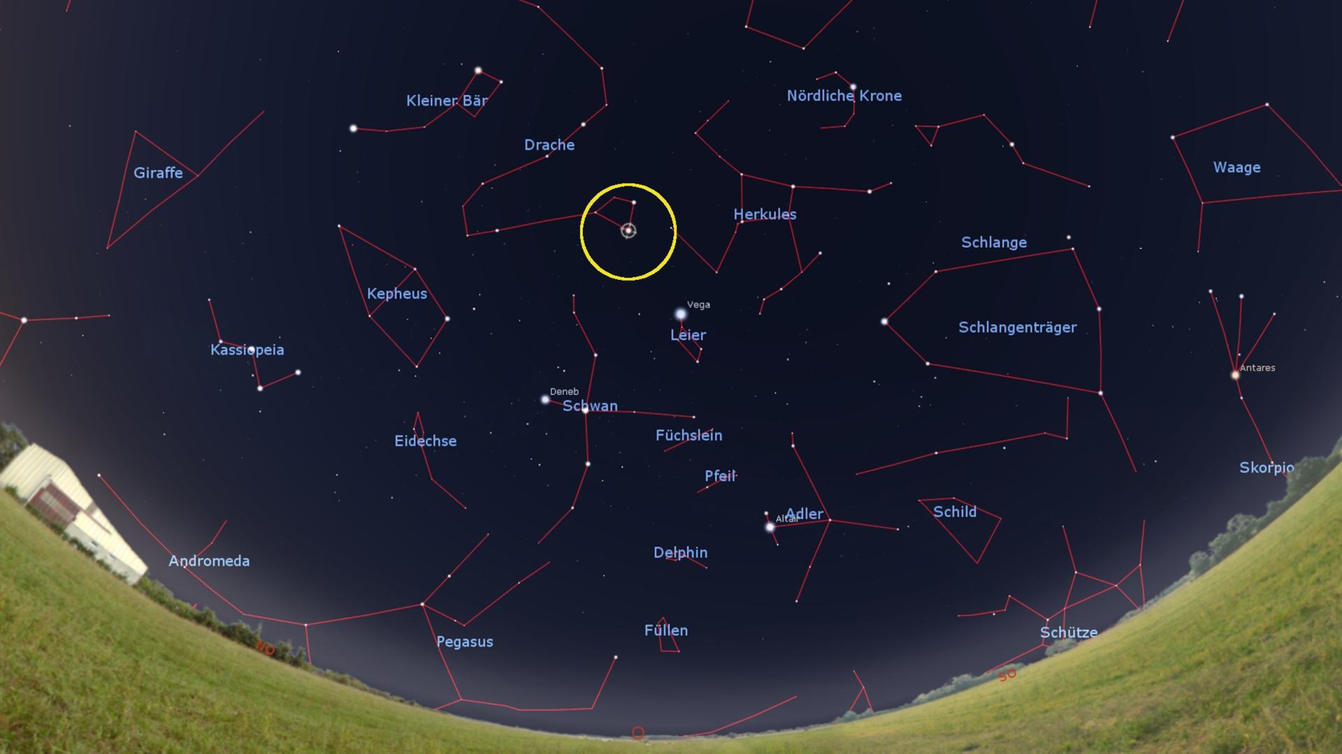 Der Stern Eltanin steht am Abend des 28. Juni 2023 hoch am Osthimmel, etwas oberhalb der hellen Wega in der Leier – gegen 1 Uhr früh leuchtet er genau im Zenit. Der Stern Eltanin steht am Abend des 28. Juni 2023 hoch am Osthimmel, etwas oberhalb der hellen Wega in der Leier – gegen 1 Uhr früh leuchtet er genau im Zenit.