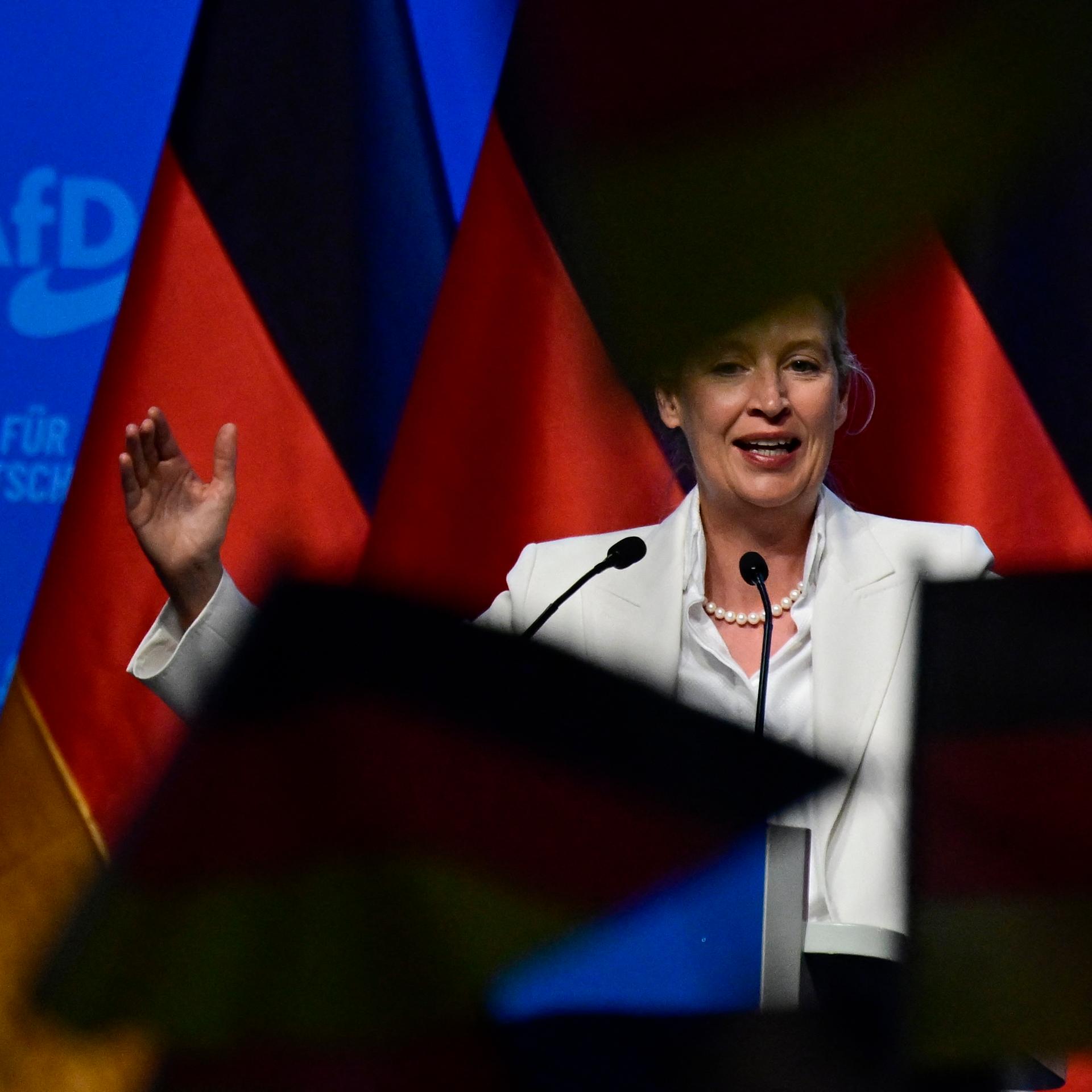 AfD-Parteitag in Erfurt - Radikale mit Machtanspruch episode artwork