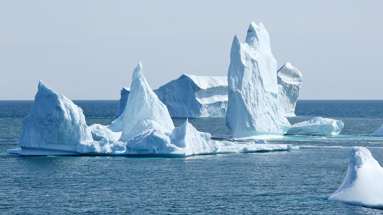 Grönland, Eisberge bei Qerqertarsuaq, 2024.