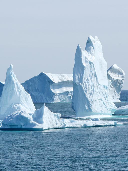 Grönland, Eisberge bei Qerqertarsuaq, 2024.