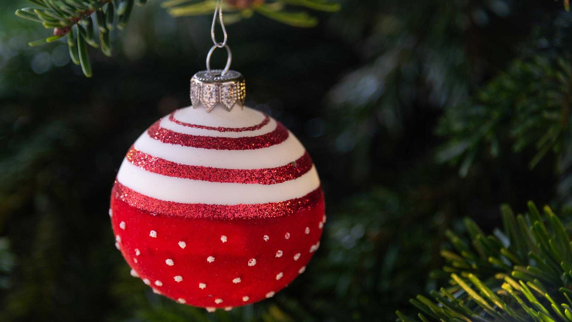 Eine rote Weihnachtskugel mit weißen Punkten hängt an einem geschmückten Weihnachtsbaum.