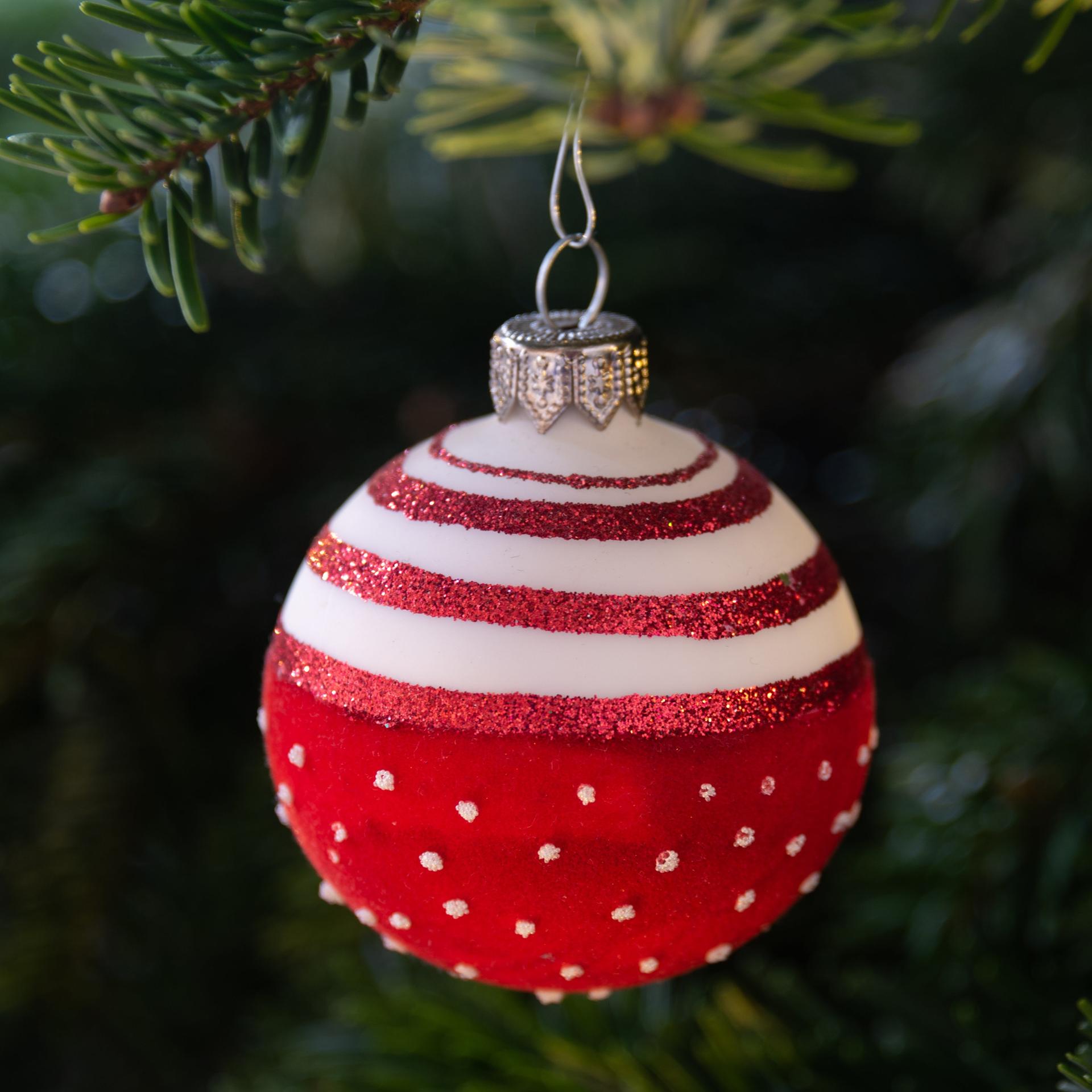 Weihnachtsspezial - Plus Eins feiert Weihnachten: Bock auf Familie!