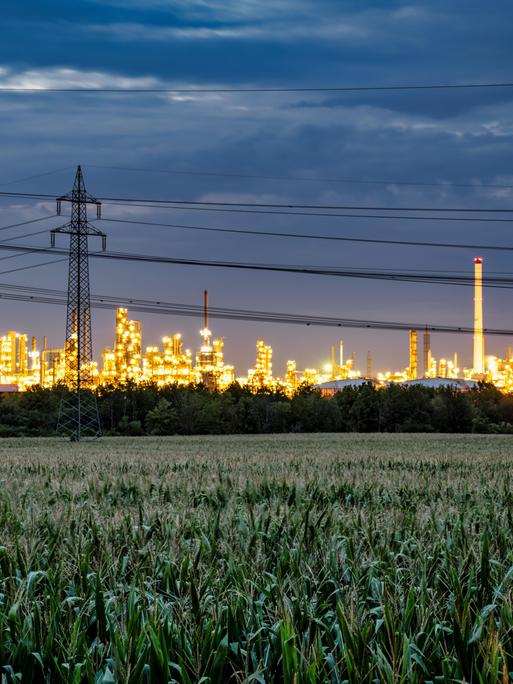 Blick auf das Industriegebiet in Leuna. Davor sind Felder. Der Industriekomplex ist beleuchtet und hebt sich von der dunklen Umgebung ab.